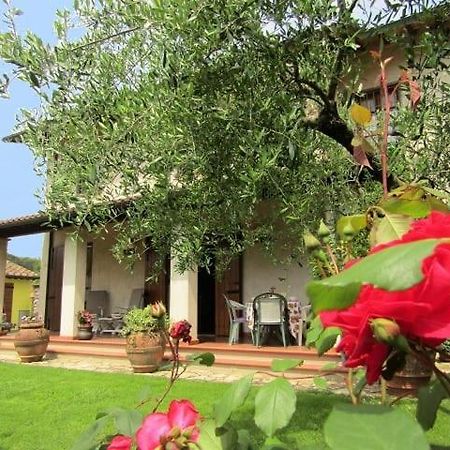 Casa Vacanze Lulu Camaiore Luaran gambar