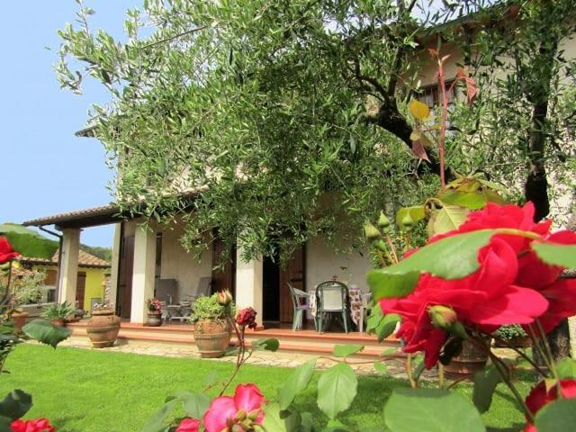 Casa Vacanze Lulu Camaiore Luaran gambar